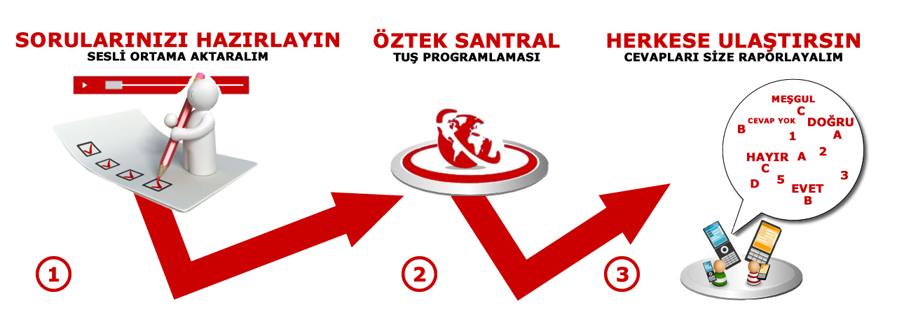 sesl anket grafik resmi